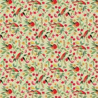 dsStella-DFN3830 CELERY